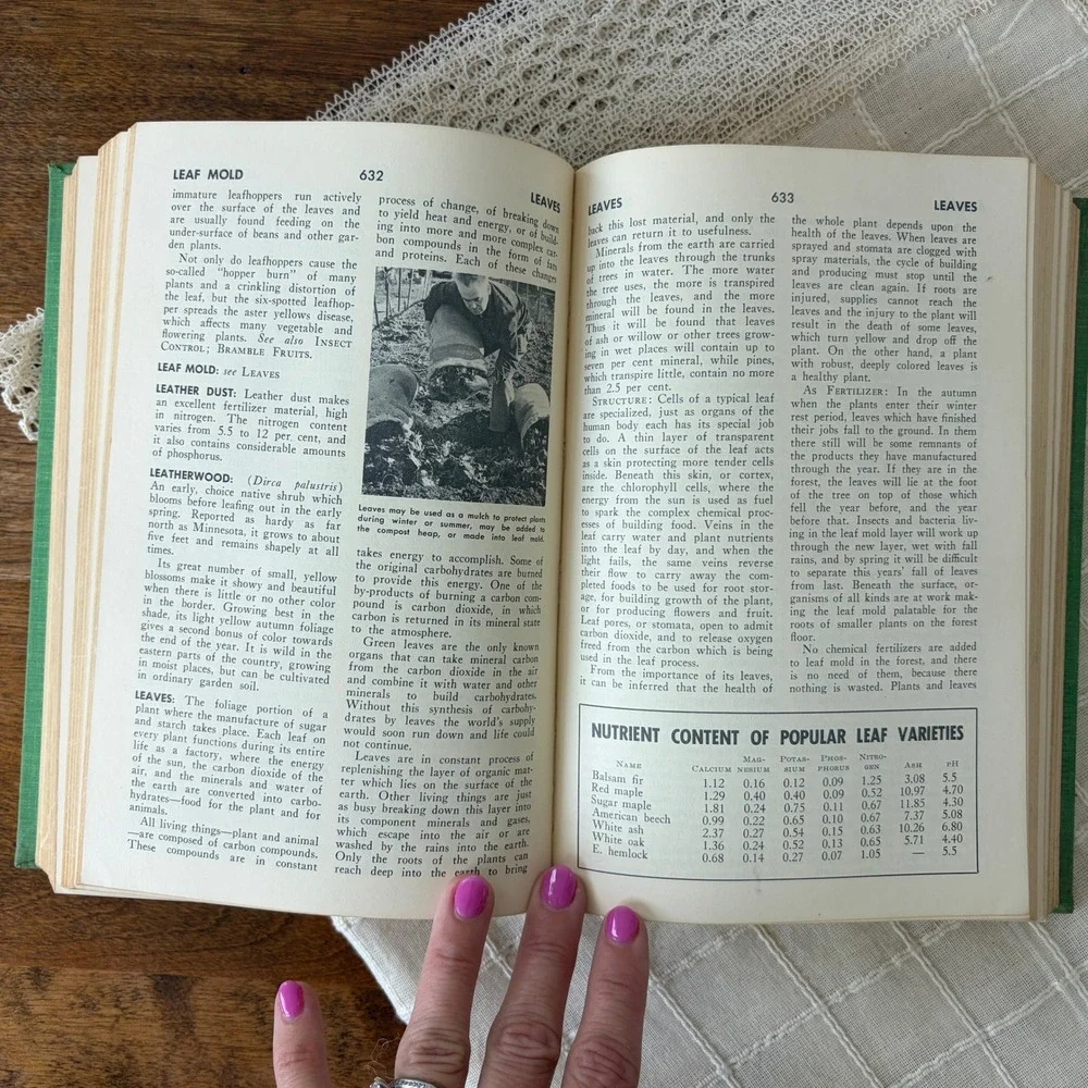 Encyclopedia of Organic Gardening J. I. Rodale 1970 Vintage Hardcover Green Book